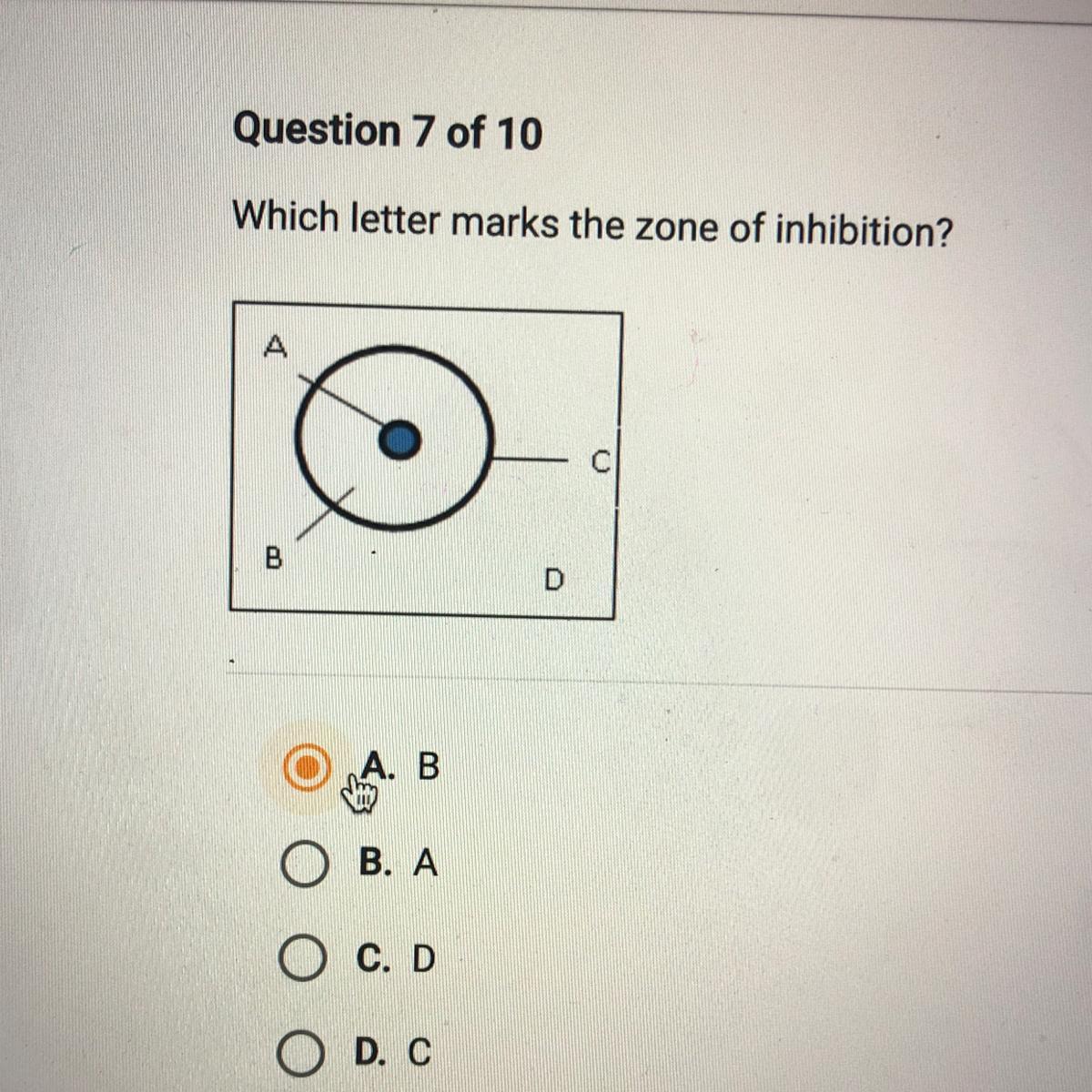 Which Letter Marks The Zone Of Inhibition?