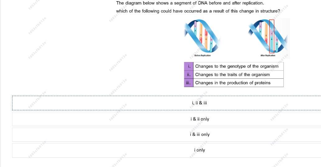 The Diagram Below Shows A Segment Of DNA Before And After Erplication, Which Of The Following Could Have