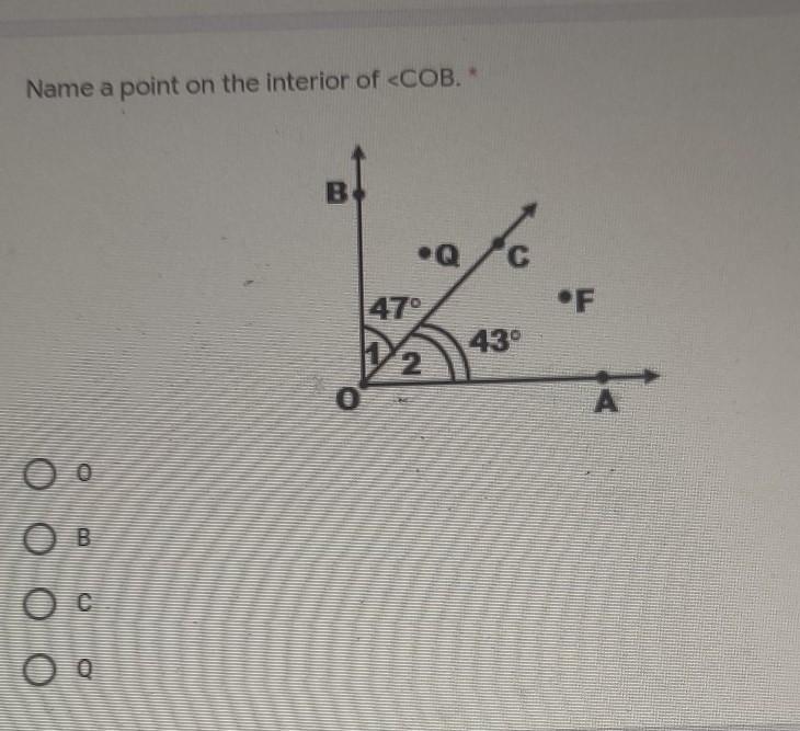 Help I Need The Answers Immediately