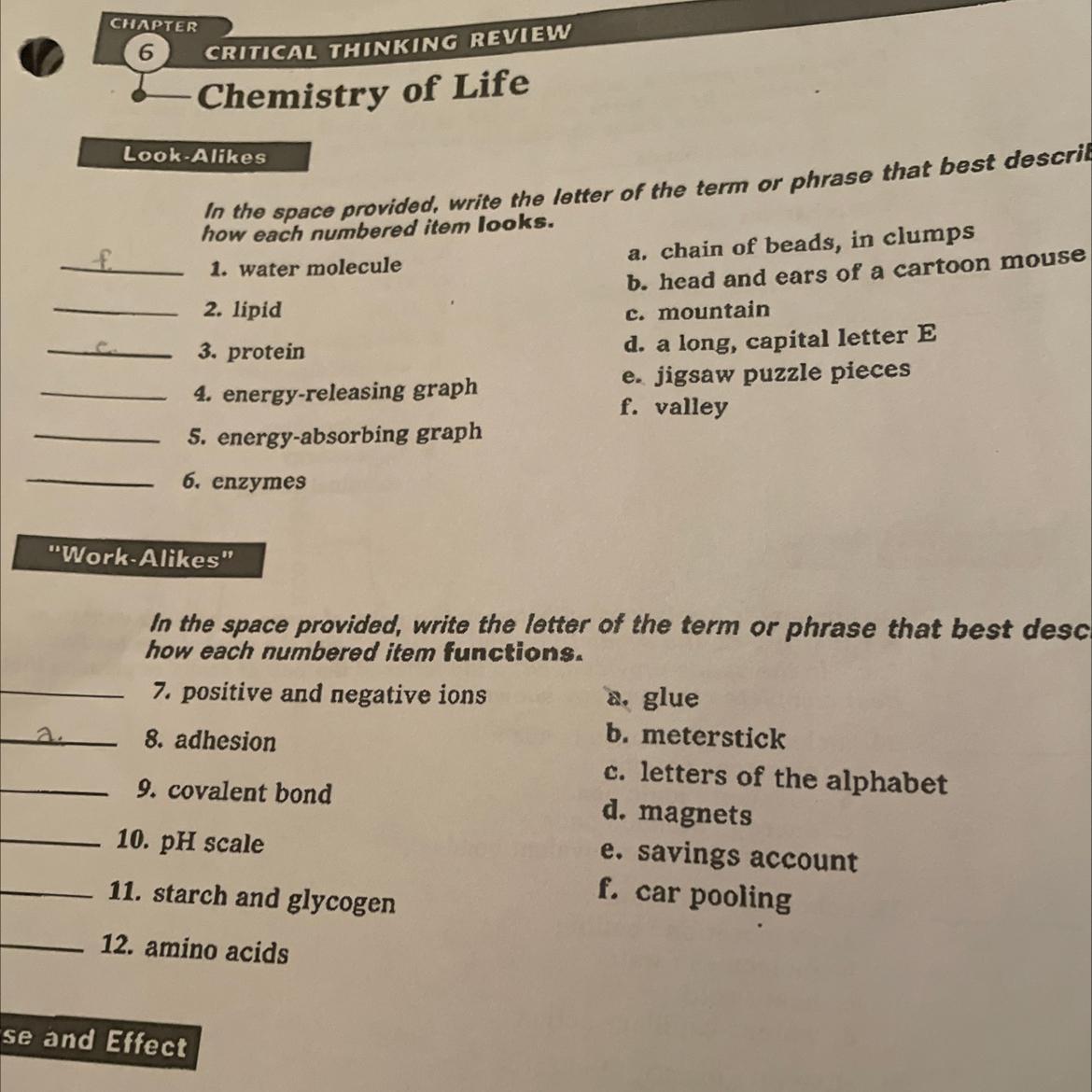 Hi Can You Please Help With This Biology Homework. I Am Stuck 