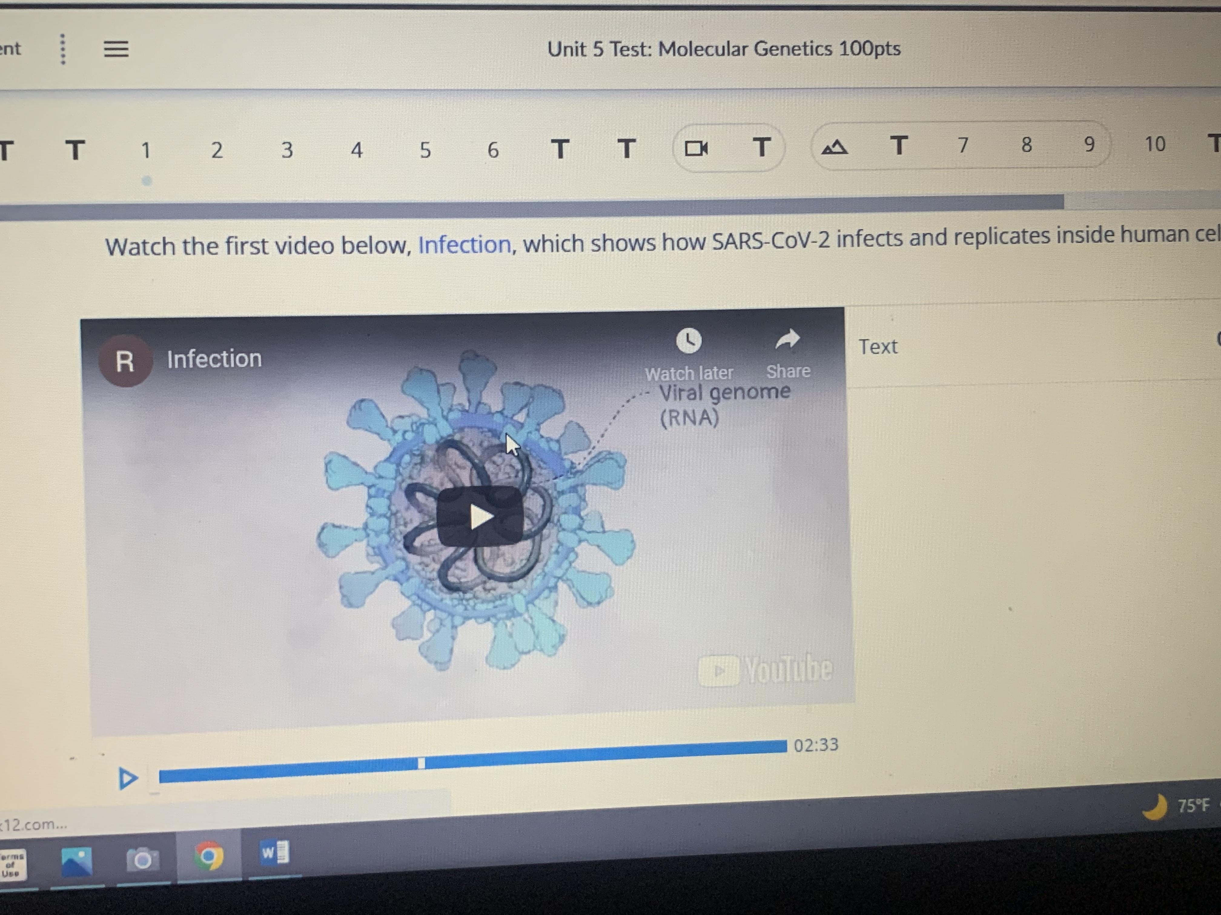 Watch The First Video Below Infection, Which Shows How SARS-CoC-2 Infects And Replicated Inside Human