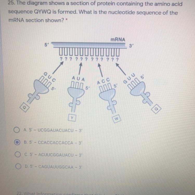 Anybody Know The Correct Choice For This? Is The Answer Correct I Will Mark You As The!!!!!