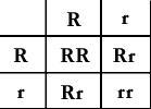 PLEASE PLEASE PLEASE HELP METhe Following Punnett Square Shows A Cross Between Two Hybrid Flowers. If