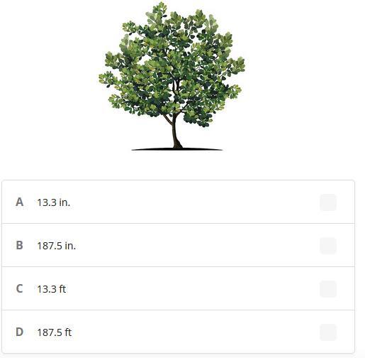 On A Scale Drawing, The Height Of A Tree Is 3.75 Inches. If The Scale Of The Drawing Is 1 In. : 50 Ft,