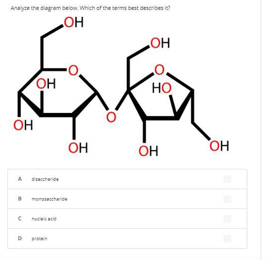 Analyze The Diagram Below. Which Of The Terms Best Describes It?