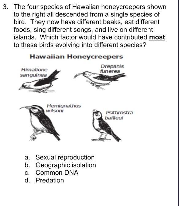 PLEASE HELP ME!! ^^^^^^Sexual Reproduction Geographic Isolation Common DNApredation
