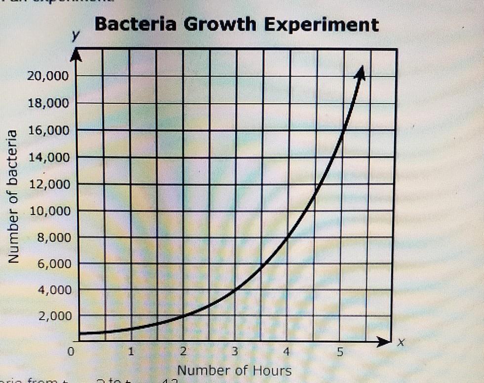 The Graph Shows The Number Of Bacteria Presented In An ExperimentWhat Is The Rate Of Change For The Number