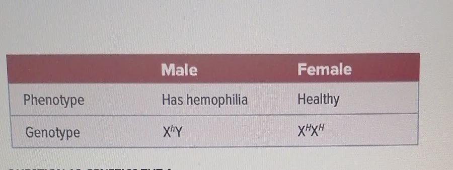 Hemophilia Is Caused By An X-linked Recessive Allele If A Man Who Has Hemophilia Marries A Healthy Woman
