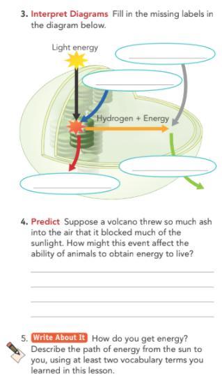 Help Me Ples HELP HELP HELP HELP HELPthe Vocab Is Autotroph, Heterotroph, Fermentation, Mitosis, Cytokinesis,