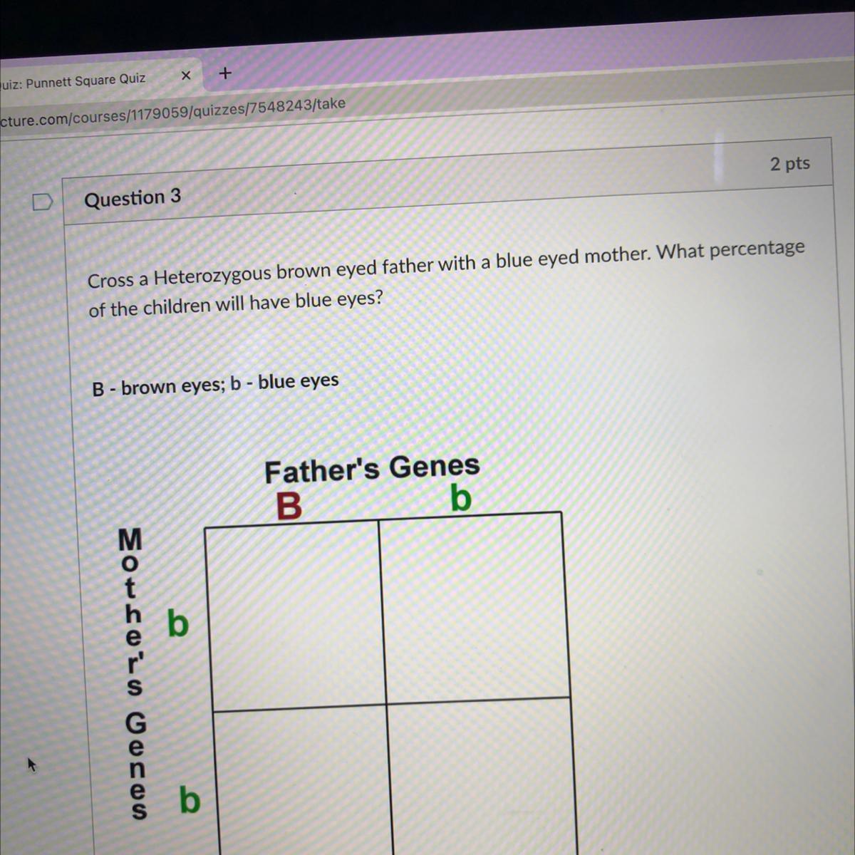 Cross A Heterozygous Brown Eyed Father With A Blue Eyed Mother. What Percentage Of The Children Will