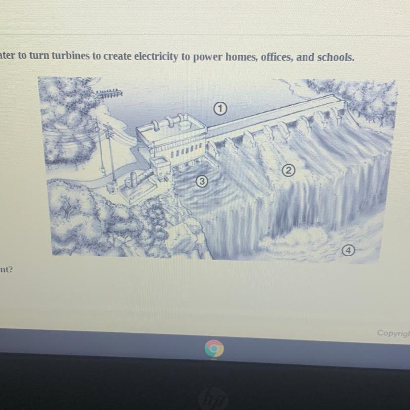 Where Is The Potential Energy To Run The Plant?A 3B41D2