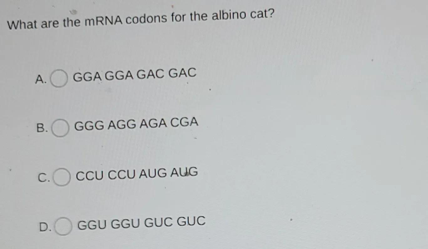 Question: What Is The MRNA Sequence Of The Albino Cat? What Mutation Gave The Albino Appearance? 