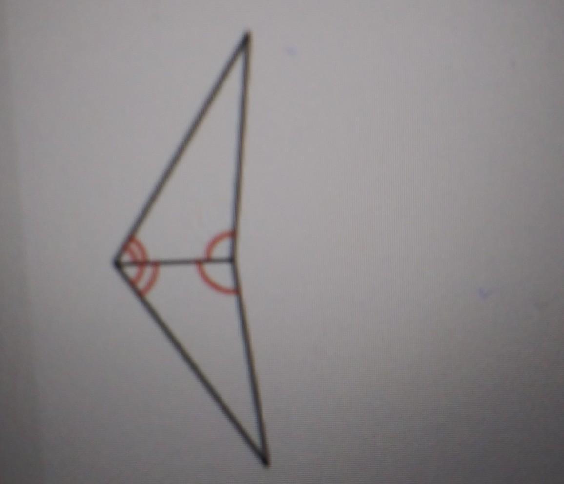 Based On One Of The Triangle Congruence Postulates, The Two Triangles Shown Are Congruent. Part 4True