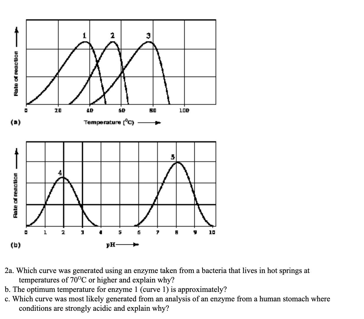 2a. Which Curve Was Generated Using An Enzyme Taken From A Bacteria That Lives In Hot Springs At Temperatures