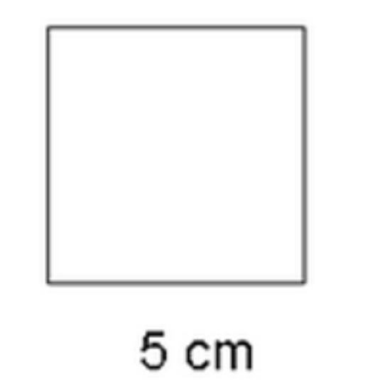Find The Area Of The Square.10 Cm^225 Cm^220 Cm^25 Cm^2
