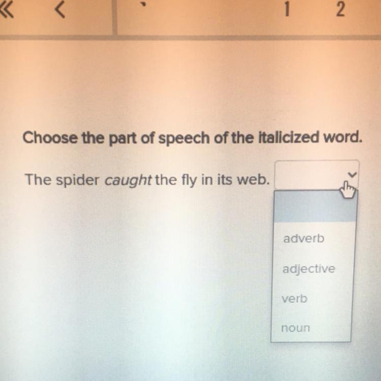 Choose The Part Of Speech Of The Italicized Word.The Spider Caught The Fly In Its Web.adverbadjectiveverbnoun