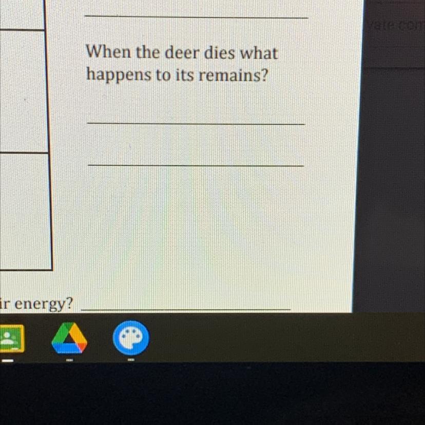 Imagine A Deer That Lives In A Meadow. When The Deer Dies What Happens To Its Remains?