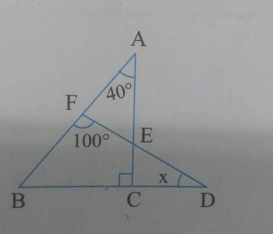 Find The Value Of X.