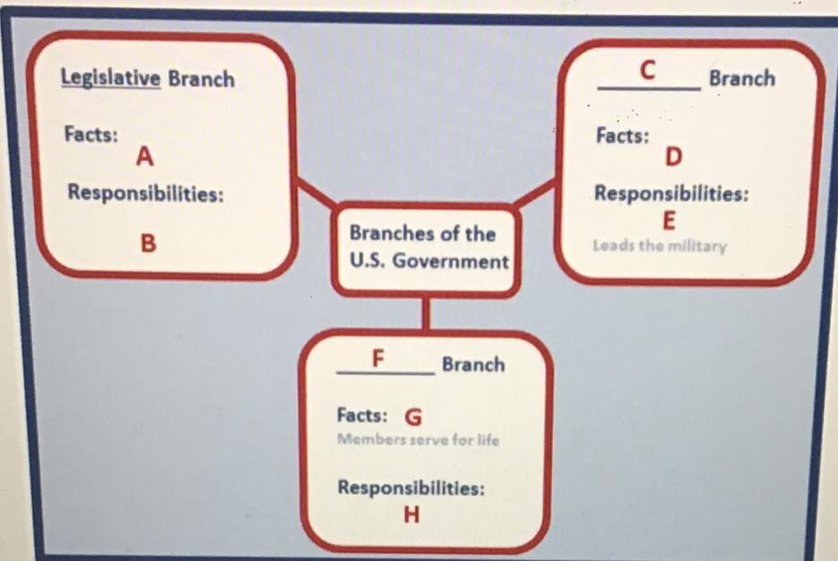 Study The Image Above Which Of The Following Would You Place In The Section Labeled A The Branch Has