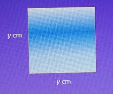 The Area Of This Parallelogram Is 49 Square Centimeters.y = ____ Cm.