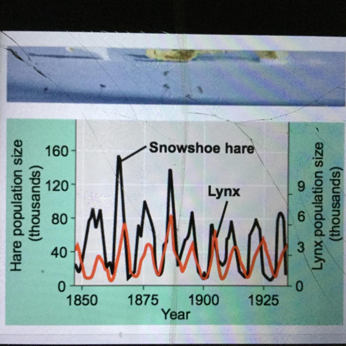 ALOT OF POINTS MARKING POEPLE AS BRAINLIST Look At The Graph. Explain How The Two Population Are Related