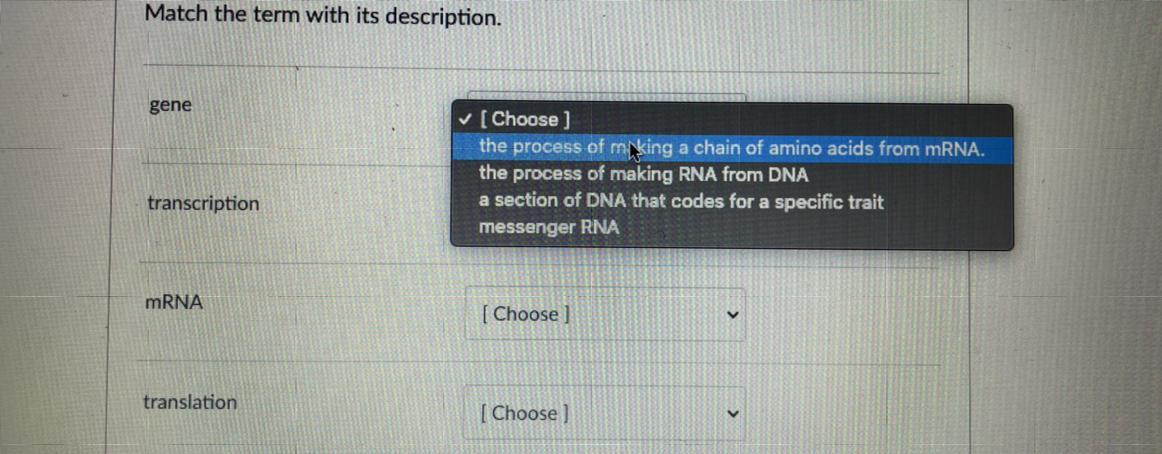 Question Is Down Below - Match Each Term With Description. 