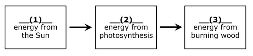 In The Above Diagram, What Terms Accurate Label Numbers 1, 2, And 3? Heat, Radiant, Chemical Radiant,