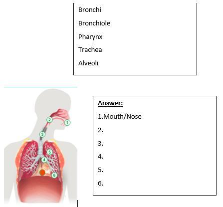 PLEASE ANSWERR ASAP I WILL GIVE BRAINLYEST AND REPORT (science) I KNOW 1, 2 AND 5 I NEED 3 4 AND 6