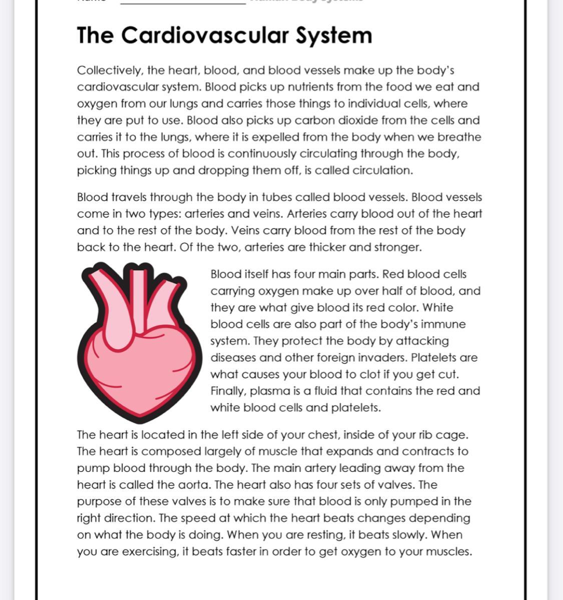 PLZ HELP ME ASAP Read The Article Above And Answer The Following Questions1. The Cardiovascular System