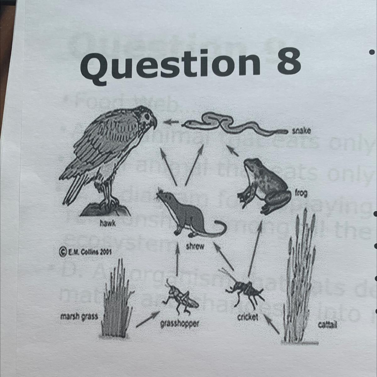 Question 8 The Animals In This Ecosystem Provide What Form Of Matter To The Producers (to Be Used In