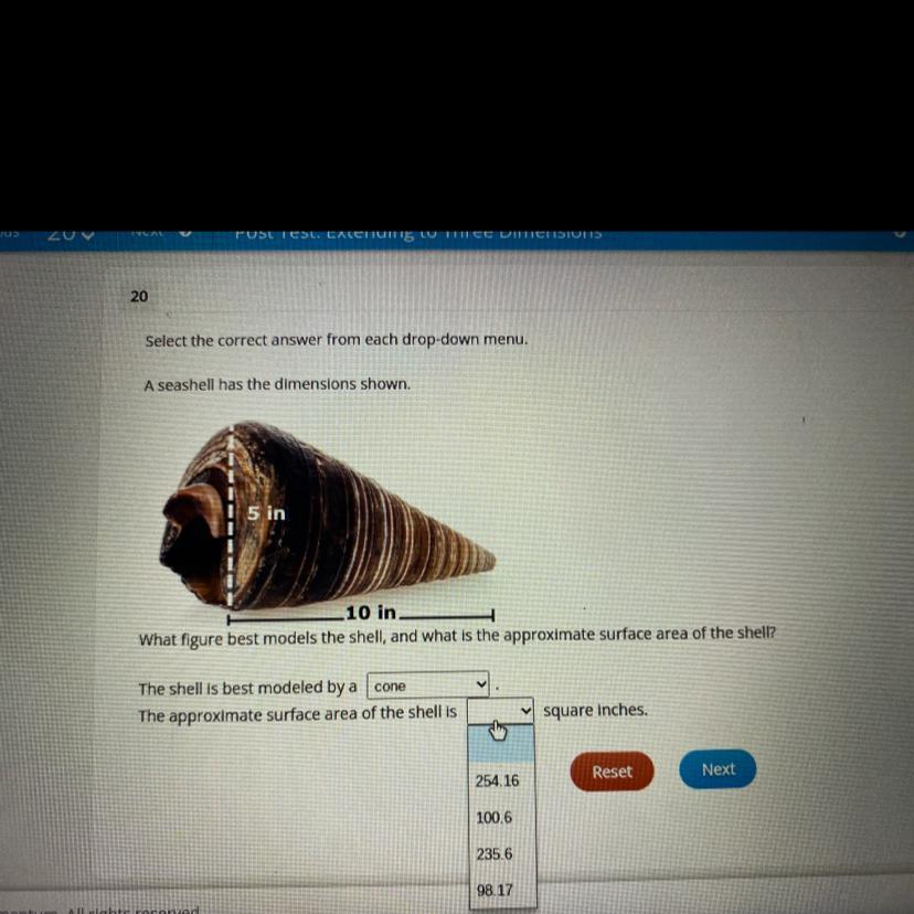 Select The Correct Answer From Each Drop-down Menu.A Seashell Has The Dimensions Shown.5 In10 In.What