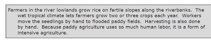 Which Of The Following Statements Does The Passage Support? A. Rice Paddy Farming Is Particularly Successful