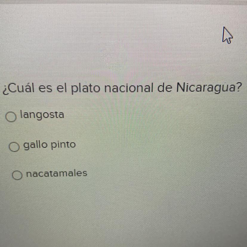Cul Es El Plato Nacional De Nicastagua?langostagallo Pinto Nacatamales