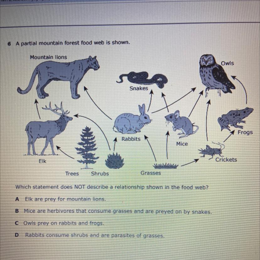 Which Statement Does NOT Describe A Relationship Shown In The Food Web?A Elk Are Prey For Mountain Lions.B
