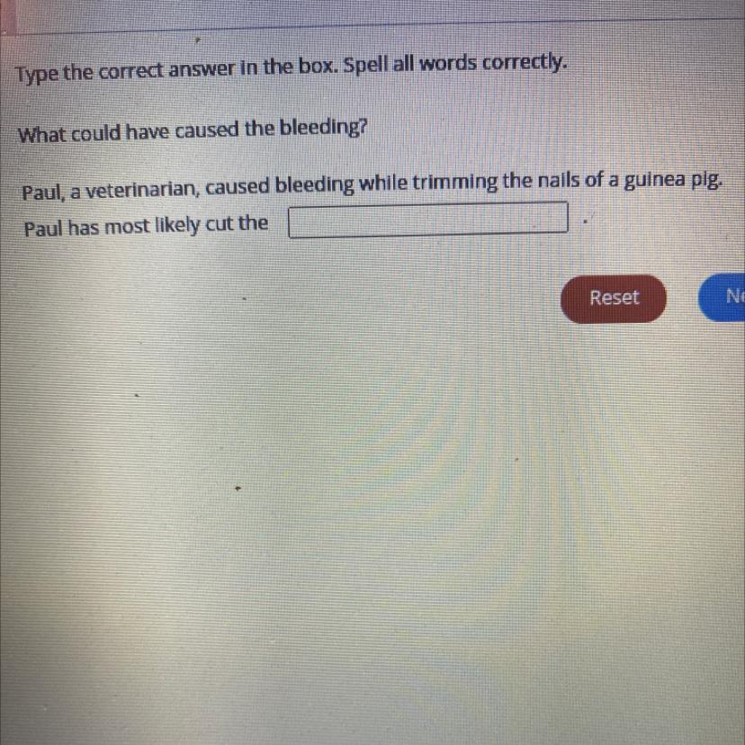 Type The Correct Answer In The Box. Spell All Words Correctly.What Could Have Caused The Bleeding?Paul,