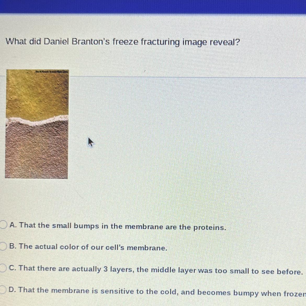 What Did Daniel Branton's Freeze Fracturing Image Reveal?A. That The Small Bumps In The Membrane Are