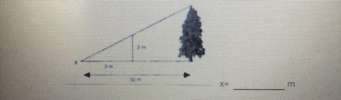 A Person With A Height Of 2 Meters Stand Near A Tree. The Tree Casts A Shadow That Is 30 Meters Long