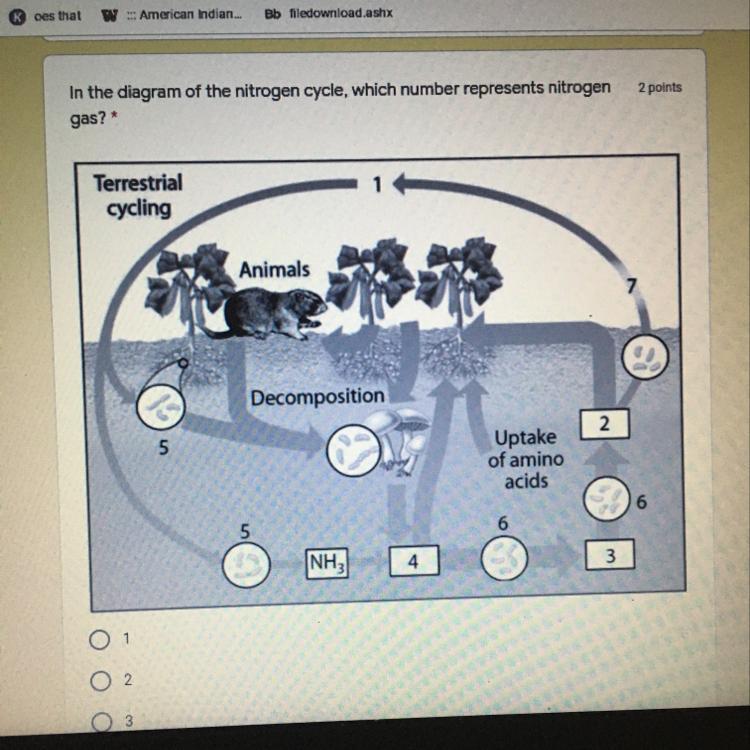In The Diagram Of The Nitrogen Cycle, Which Number Represents Nitrogen2 Pointsgas?TerrestrialcyclingAnimals687Decomposition2Uptakeof