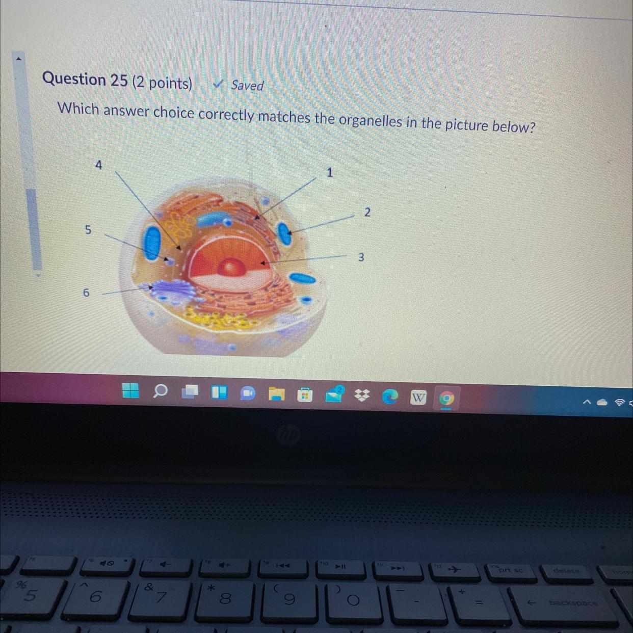 HELP ! 50 POINTS !A). 3 Is The Nucleus; 5 Is A RibosomeB). 1 Is The Rough Endoplasmic Reticulum: 2 Is