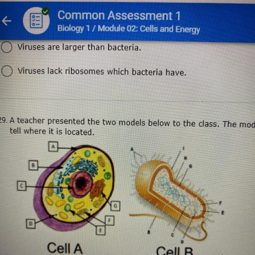 29. A Teacher Presented The Two Models Below To The Dass. The Models Represent A Eukaryote And Prokaryote