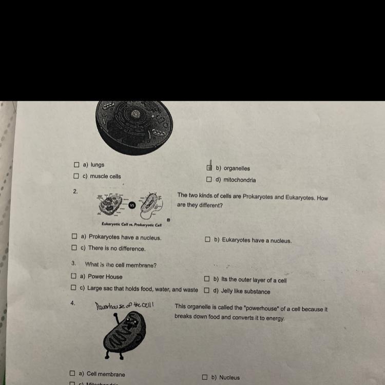 These Are Low Organs That Carry Out Cell Function Number 2