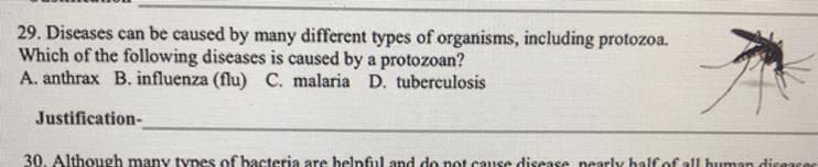 Diseases Can Be Caused By Many Different Types Of Organisms, Including Protozoa. Which Of The Following