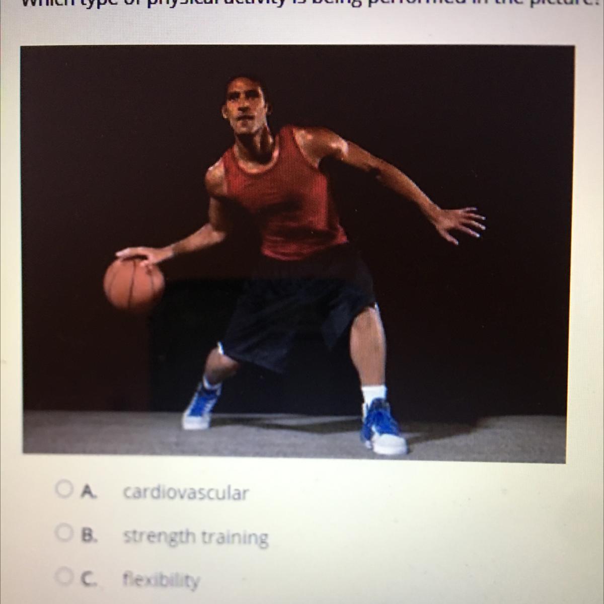 Which Type Of Physical Activity Is Being Performed In The Picture?A. CardiovascularB. Strength TrainingC.