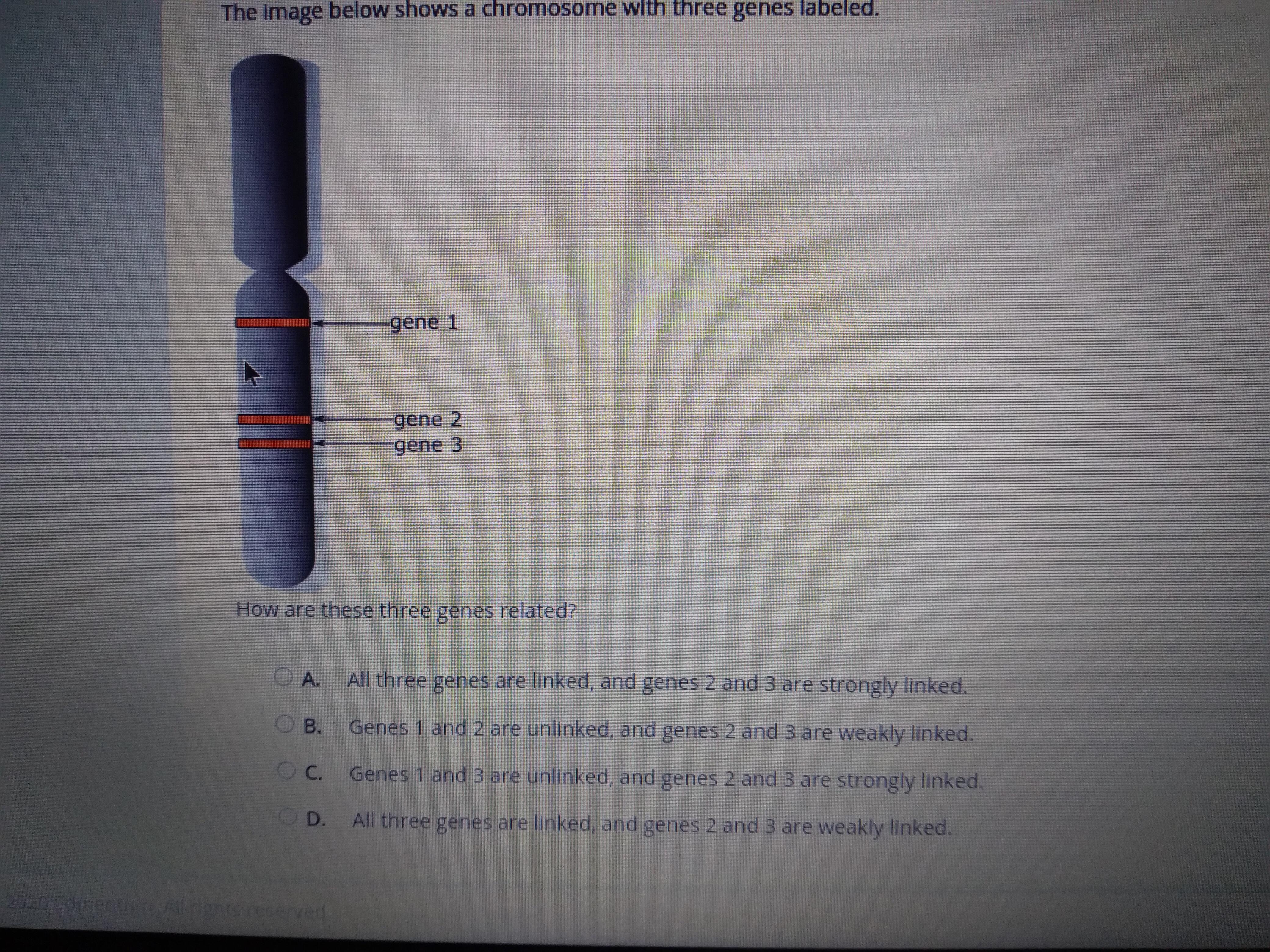 How Are These Genes Related?