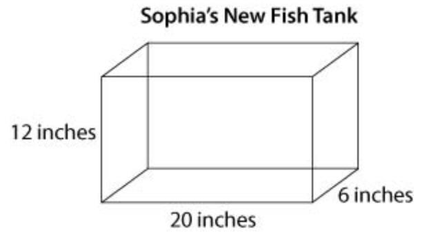 NEED Help ASAP I WILL GIVE BRAINLIST Sophia Bought A Fish Tank With The Dimensions Shown Below.Which