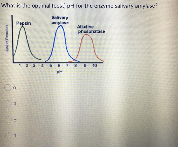 30 Points, Please Answer Question In Picture :) I Need Help