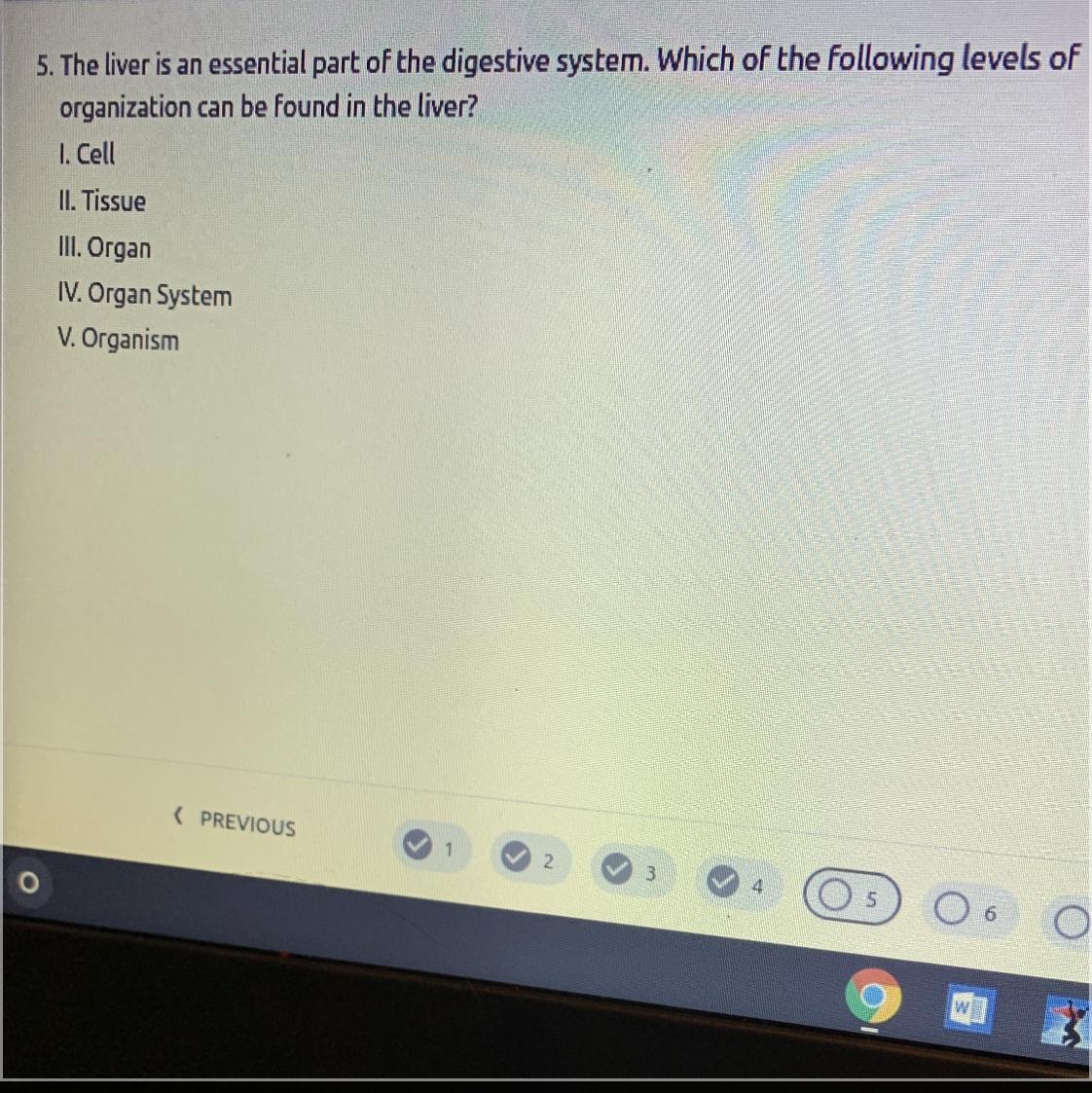 The Liver Is An Essential Part Of The Digestive System. Which Of The Following Levels Oforganization