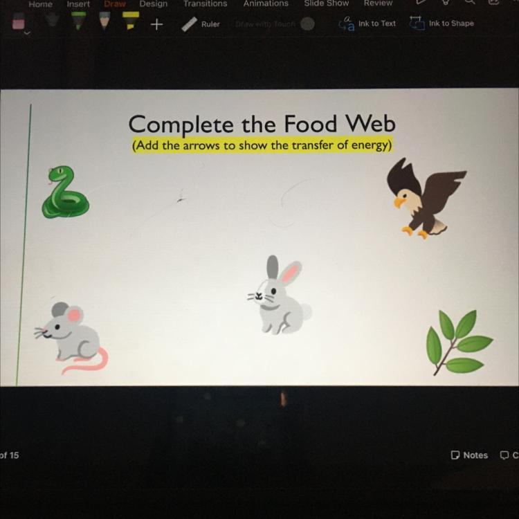 HELP ME!!!Complete The Food Web(Add The Arrows To Show The Transfer Of Energy)
