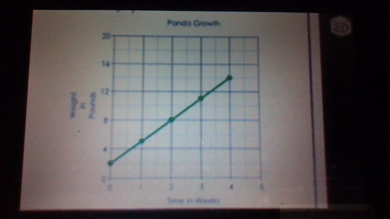 PLEASE HELP NO ONE HELPING ONGWhich Panda Will Weigh More At 5 Weeks?Write The Equation For Each Panda.