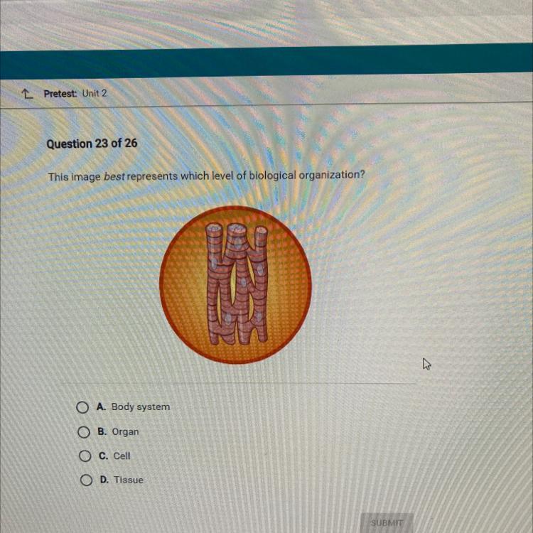 This Image Best Represents Which Level Of Biological Organization?OA. Body SystemOB. OrganO C. CellOD.